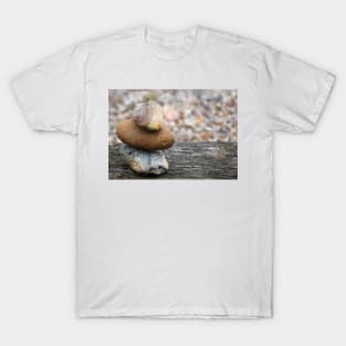 Pebbles T-Shirt